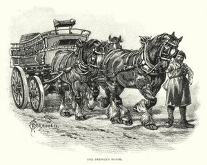Le cheval du brasseur (gravure)