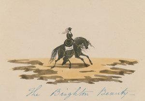 La beauté de Brighton - English School