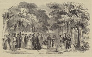 La grande allée, Christ Church Meadows, Oxford, le dimanche soir