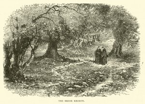 Le ruisseau de Cédron