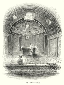 Le Calidarium - English School