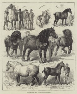 Le salon du cheval de trait au hall agricole (gravure) - English School