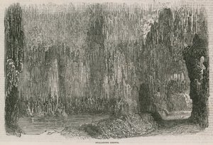 Le Colosseum - Grotte de stalactites