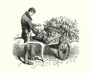 Le costermonger - English School