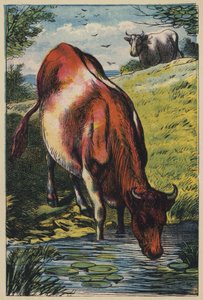 La Vache - English School