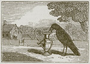 Le corbeau et la cruche (gravure) - English School