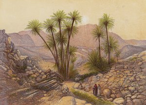 Le désert du Sinaï - English School