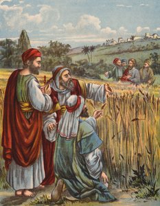 Les disciples cueillant du blé - English School