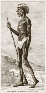 Le Djangal, un sauvage du Sirgouja, illustration de Cassells Illustrated History of England - English School