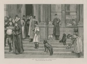 La question du chien - Pas d