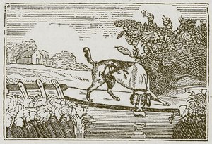 Le chien et l