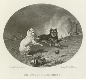Les chiens du régiment - English School
