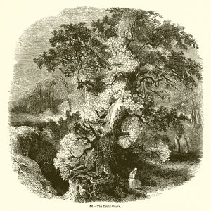 Le Bosquet des Druides - English School