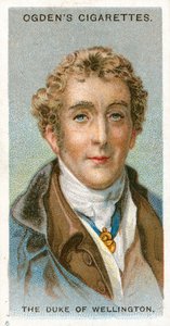 Le duc de Wellington