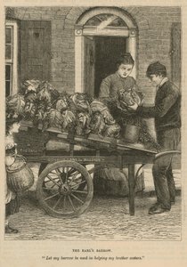 Le Tertre des Comtes - English School