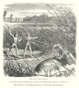 Le chasseur égyptien (gravure) - English School