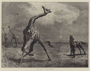 La chute de la girafe (gravure)