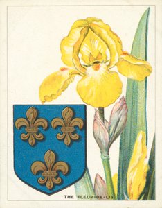 La Fleur-de-lis (chromolitho) - English School