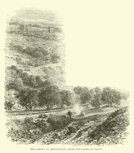 Le Jardin de Gethsémani, depuis les pentes d