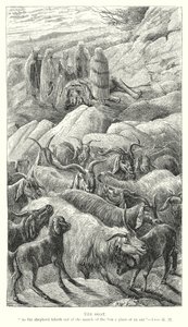 La chèvre (gravure) - English School