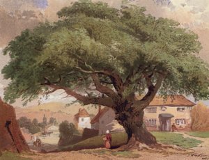 Le grand frêne, scène dans le Surrey