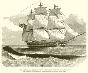 Le grand serpent de mer vu pour la première fois depuis le H.M.S. Daedalus - English School