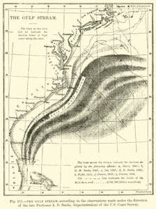 Le Gulf Stream - English School