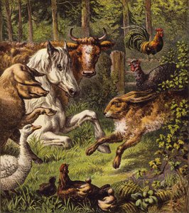 Le lièvre et la tortue (lithographie en couleur) - English School