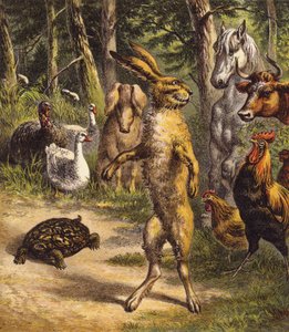 Le lièvre et la tortue - English School