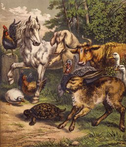 Le lièvre et la tortue - English School