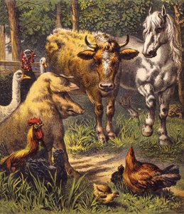 Le lièvre et la tortue - English School