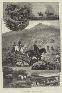 La semaine du Harrier à Dartmoor (gravure) - English School