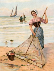 La Récolte de la mer - English School