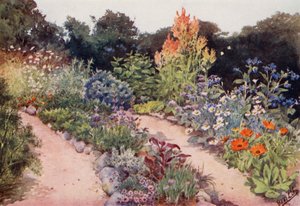 Le Jardin des Herbes : Bordures d