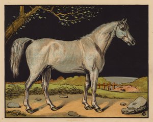 Le Cheval - English School