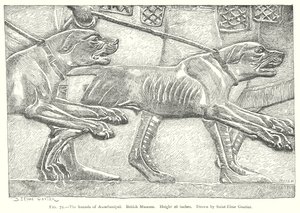 Les chiens d