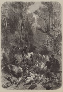La chasse impériale dans la forêt de Fontainebleau