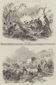 La guerre des Kaffirs - English School
