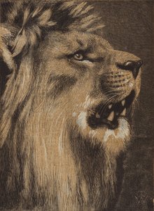 Le Roi de la forêt - English School
