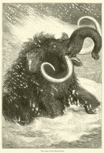 Le dernier des mammouths (gravure) - English School