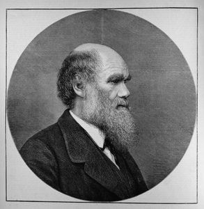 Le défunt M. C. R. Darwin, FRS, LLD, de The Illustrated London News, 29 avril 1882 - English School