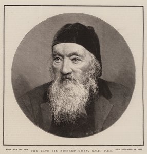 Feu Sir Richard Owen, KCB, FRS (gravure) - English School