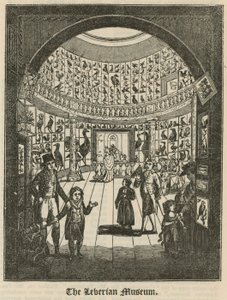 Le musée Leverian - English School
