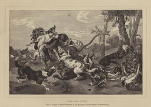 La chasse au lion (gravure) - English School