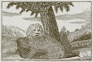 Le lion et la souris (gravure) - English School