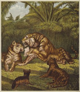 La Réception du Lion - English School