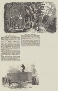 Commerce de l