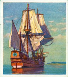 Le Mayflower - English School