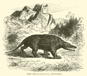 Le Mégalosaure, restauré (gravure) - English School