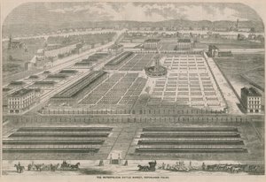 Le Marché aux Bestiaux Métropolitain, Copenhagen Fields, Londres